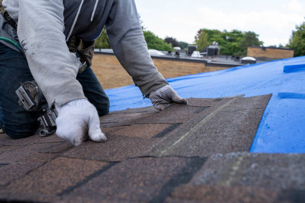 Best Flat Roof Repair Services  in Eastpointe, MI